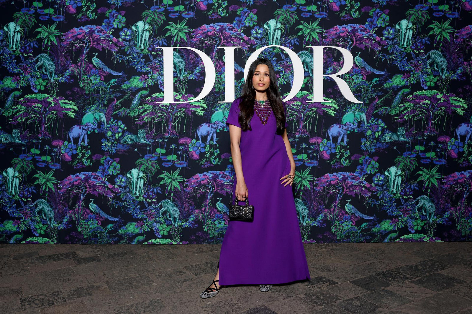 Dior Fall/Winter 2023 Show In Mumbai Freida Pinto wore a Dior Pre Fall 2023 purple wool and silk dress with a Dior bag and shoes.