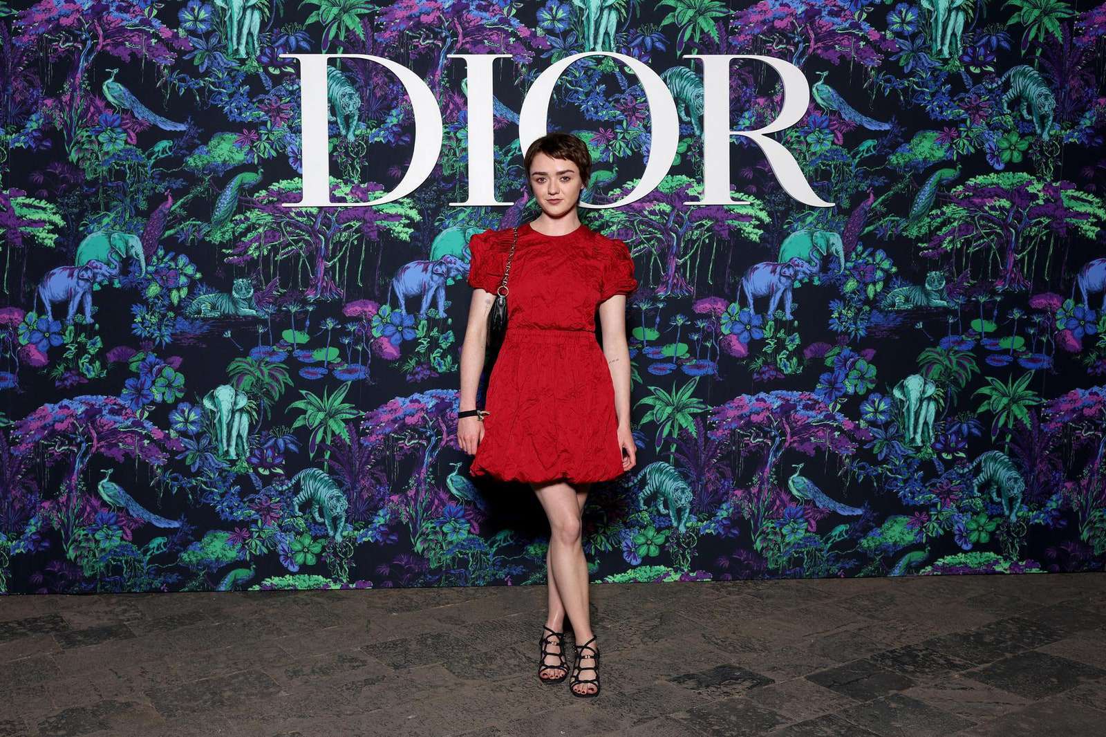 Dior Fall/Winter 2023 Show In Mumbai Maisie Williams wore a Dior red cotton dress. She also wore a Dior bag and shoes.
