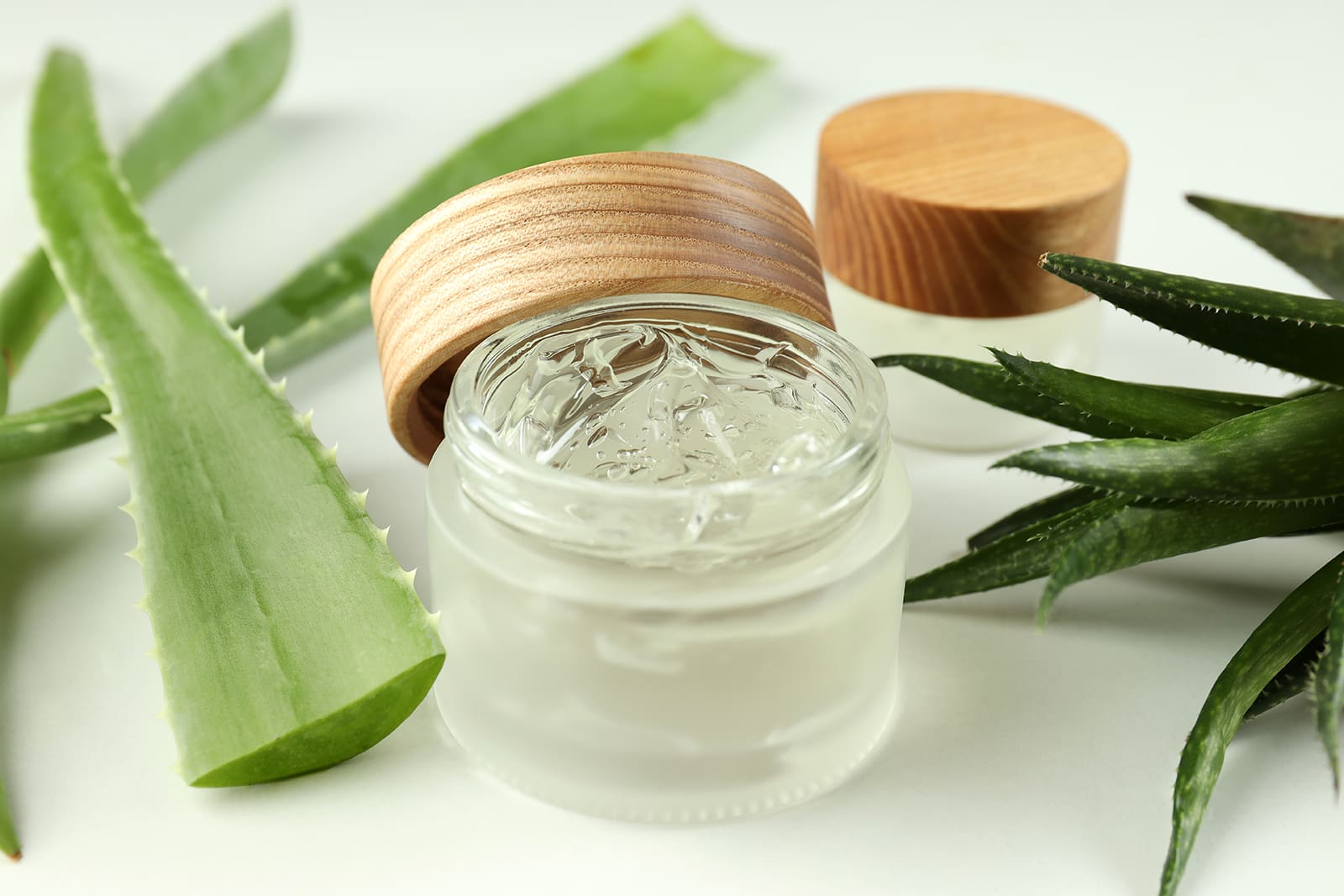 Ayurvedic ingredients Aloe vera