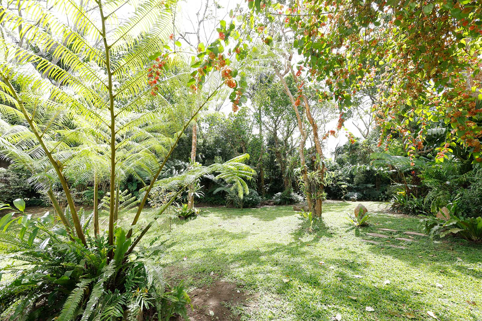 Garden Area
