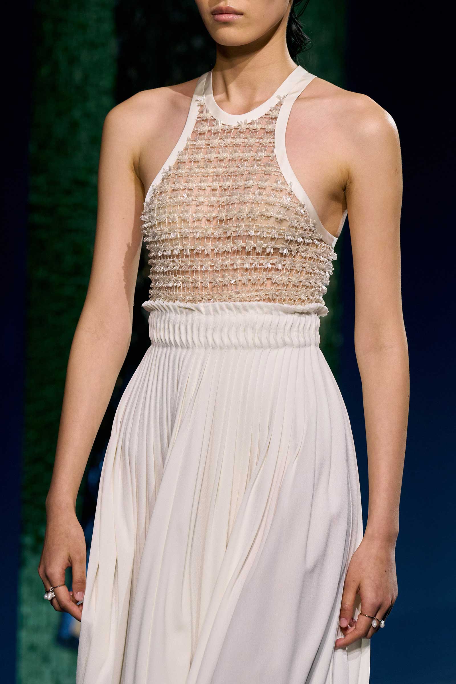 00019-christian-dior-fall-2024-couture-details-credit-gorunway