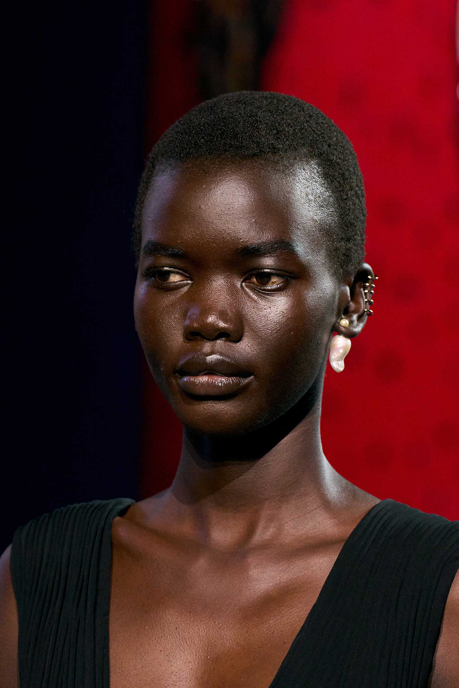 00031-christian-dior-fall-2024-couture-details-credit-gorunway