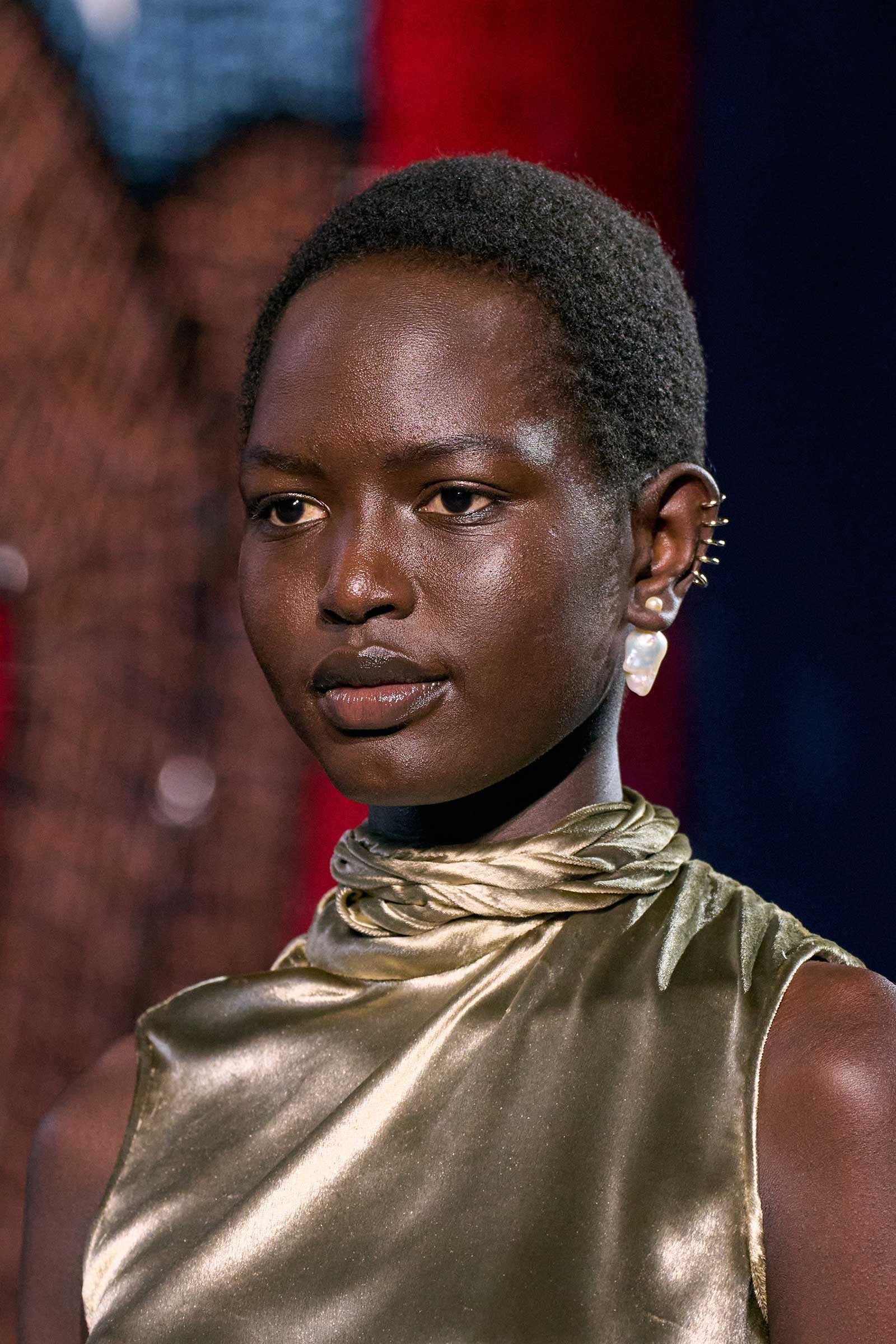 00090-christian-dior-fall-2024-couture-details-credit-gorunway