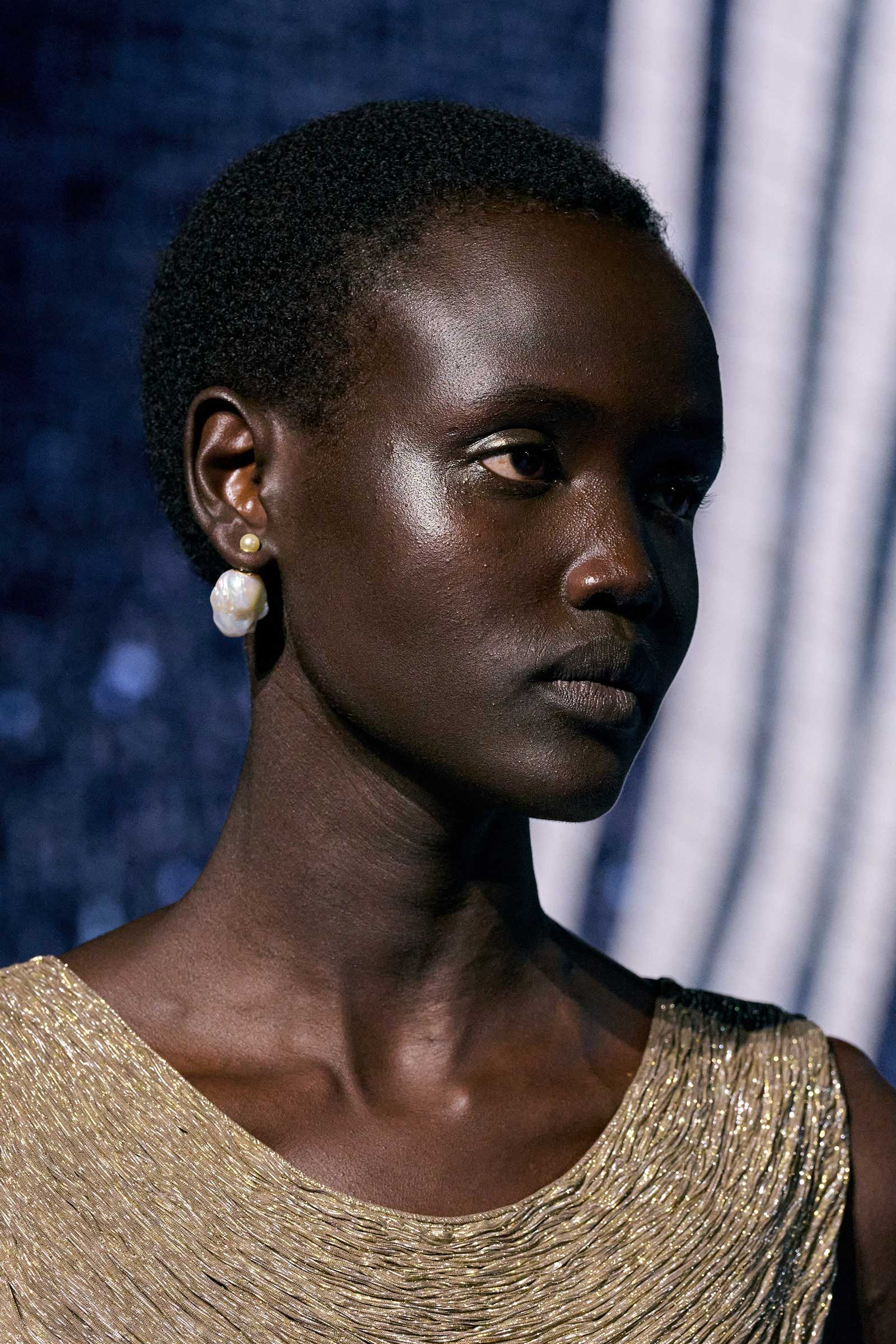 00112-christian-dior-fall-2024-couture-details-credit-gorunway