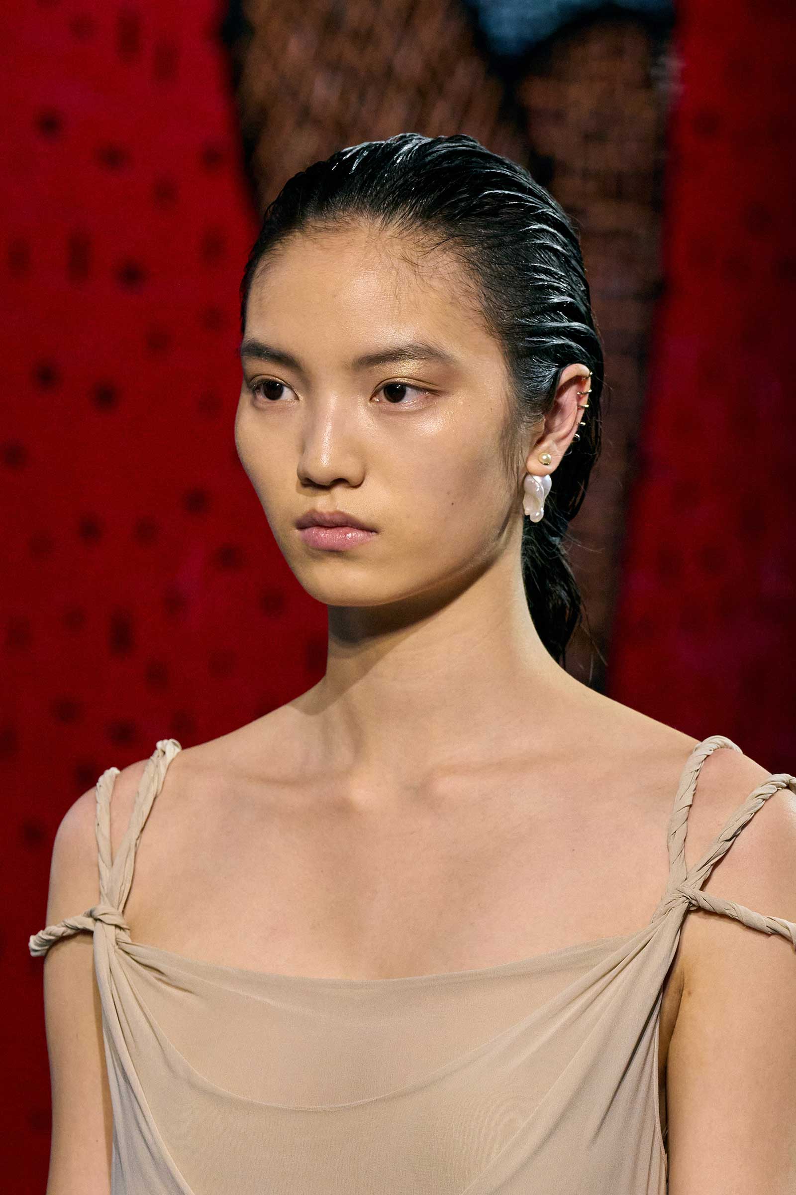 00118-christian-dior-fall-2024-couture-details-credit-gorunway
