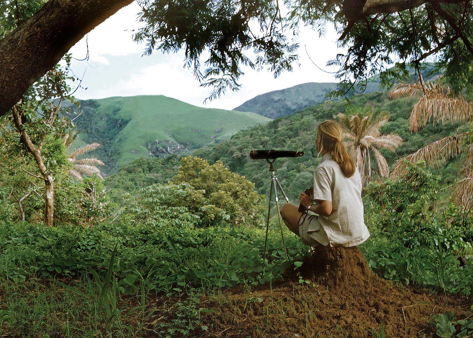Jane Goodall archival image